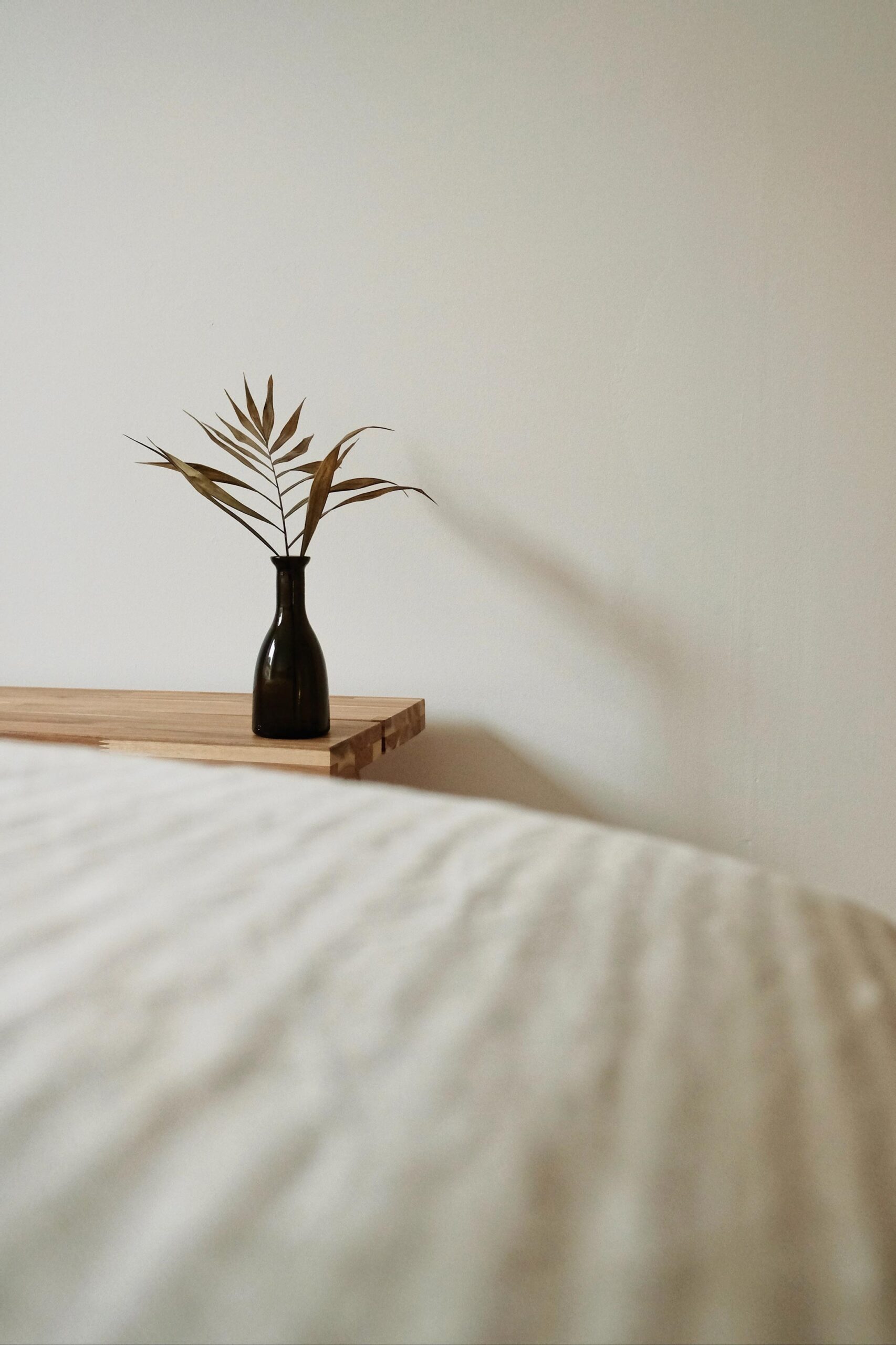 ochil-hills-plant-in-minimal-room