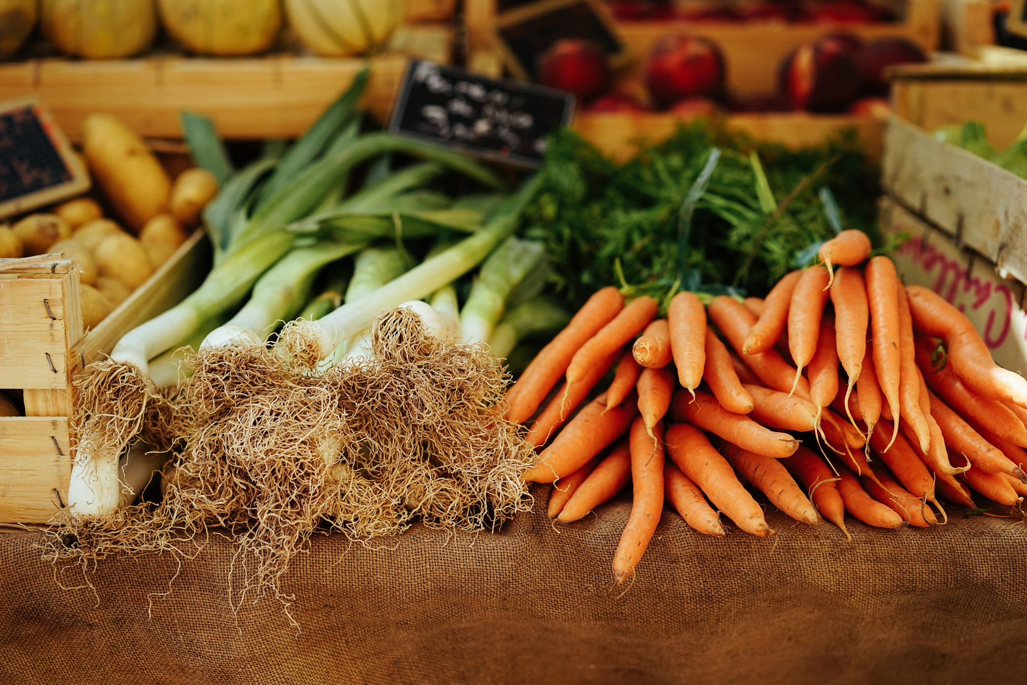 ochil-hills-table-of-fresh-vegetables